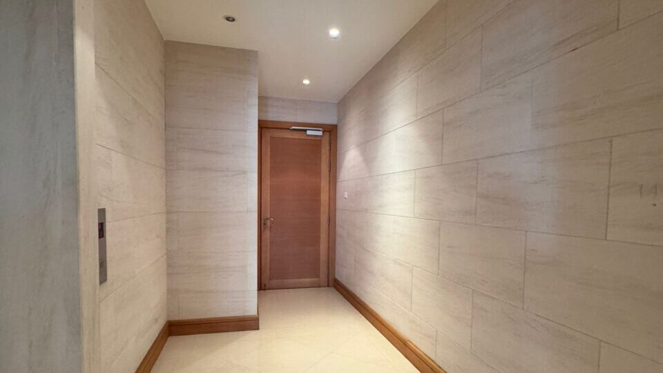 Ardmore Park Orchard Entrance Door Luxury Property Singapore Luxury Homes