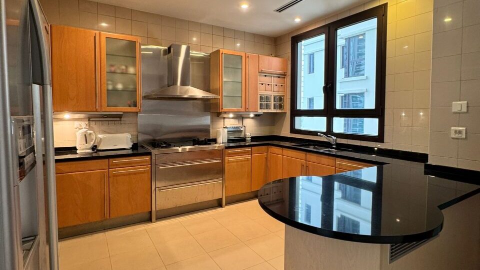 Ardmore Park Orchard Kitchen Luxury Property Singapore Luxury Homes