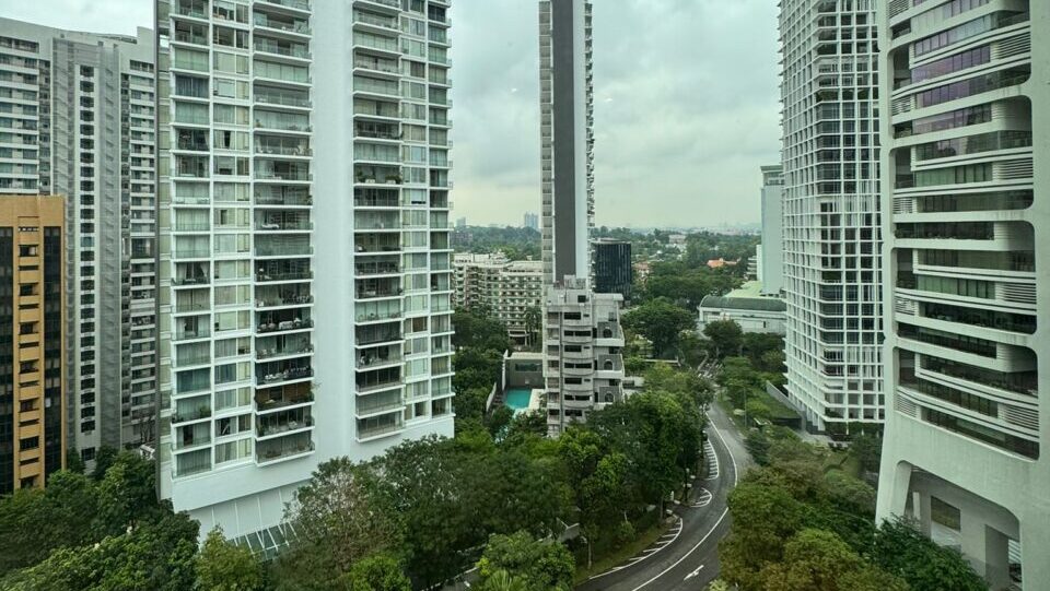 Ardmore Park Orchard View 1 Luxury Property Singapore Luxury Homes