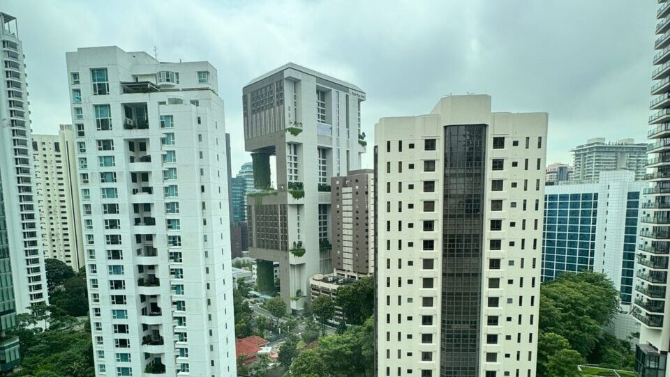 Ardmore Park Orchard View Luxury Property Singapore Luxury Homes