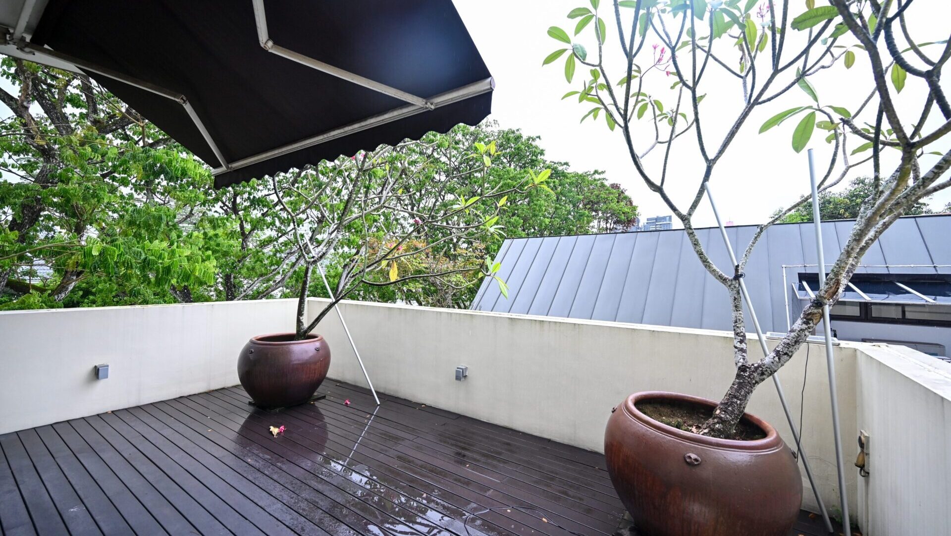 Grove Drive Rooftop Garden 2 Luxury Property Singapore Luxury Homes