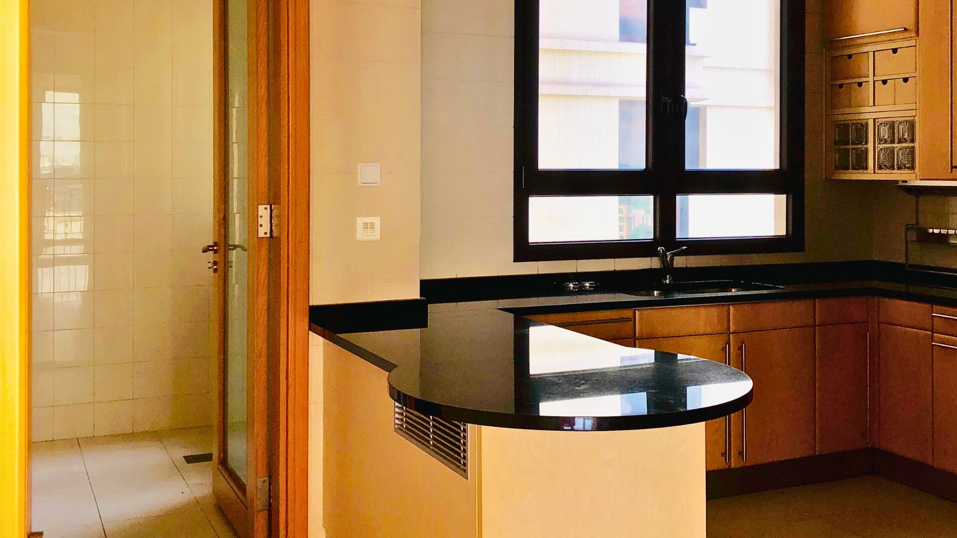 Admore Park Orchard Kitchen Luxury Property Singapore Luxury Homes