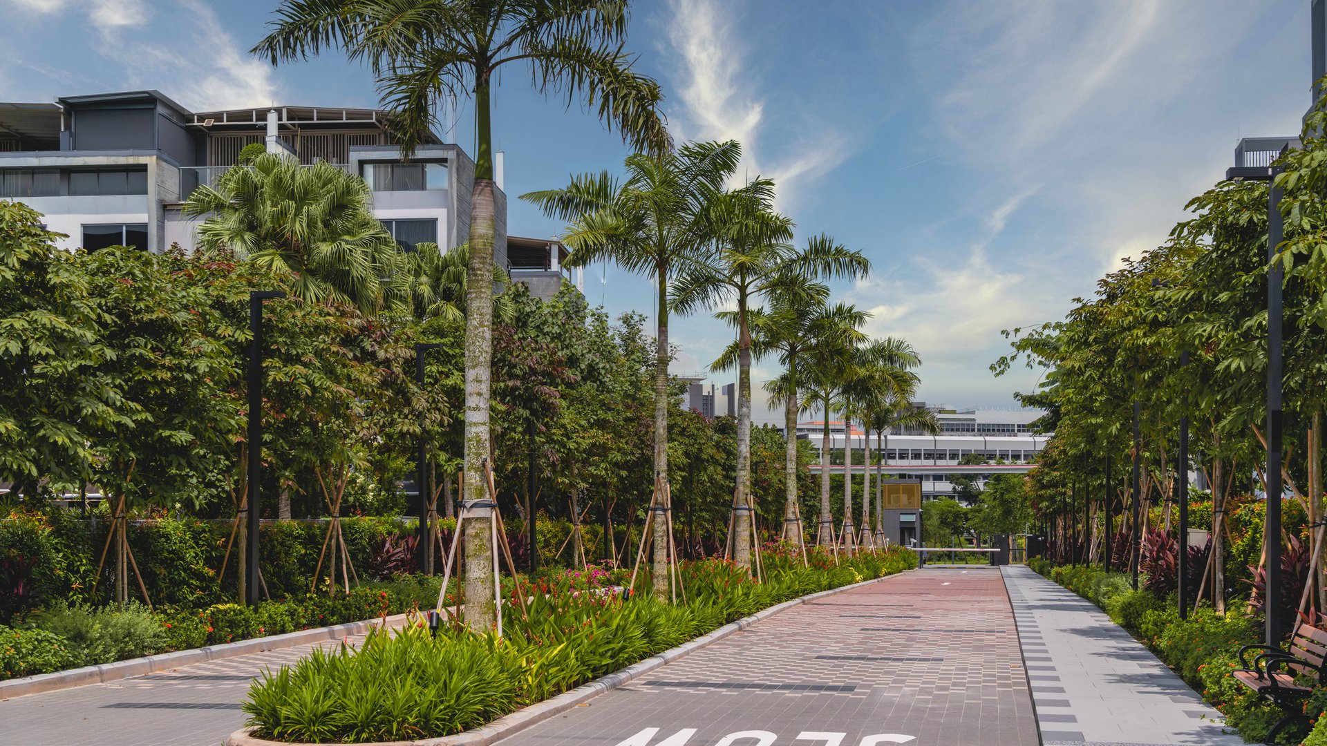 Palm-lined entrance driveway and footpath with security gate at Belgravia Ace gated landed estate